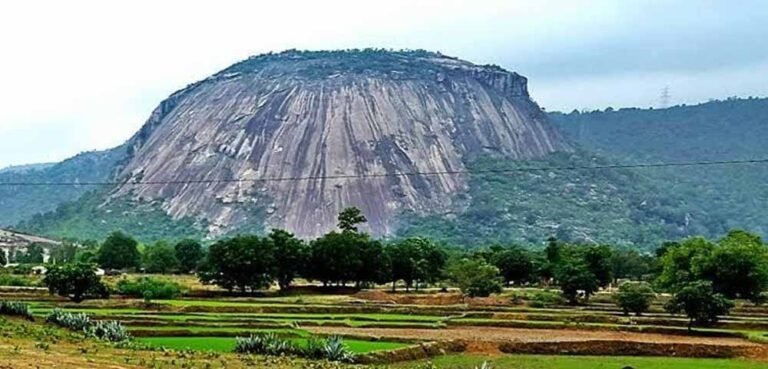 प्रकृति और आध्यात्म का संगम: जशपुर के चाय बागान व सोगड़ा आश्रम बना रहे खास पहचान
