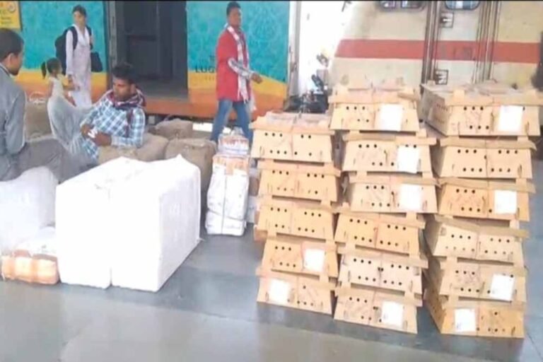 अलर्ट के बीच बड़ा सवाल: बर्ड फ्लू के समय ट्रेन से बिलासपुर पहुंचे हजारों चूजे
