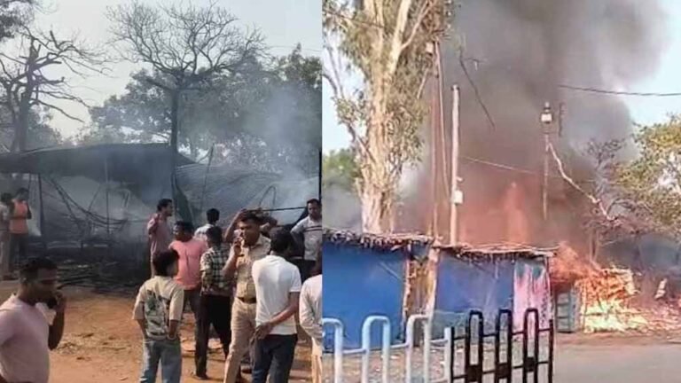 बंदरों की हरकत बनी आफत: बलौदा बाजार में ट्रांसफार्मर फटा, चिंगारी से कई दुकानें जलीं