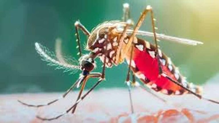 बस्तर में मलेरिया से निपटने के कार्यशाला में बताए उपाय