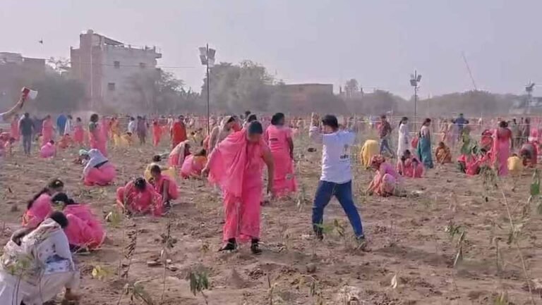 एक घंटे में रोपे 2,51,446 पौधे, चीन के आठ साल पुराने रिकॉर्ड को किया ध्वस्त