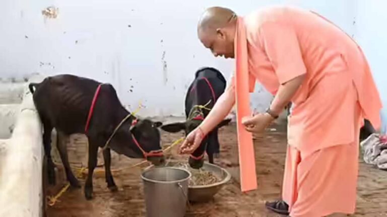योगी सरकार का कीर्तिमान, पहली बार गो संरक्षण के लिए खर्च होंगे 2100 करोड़