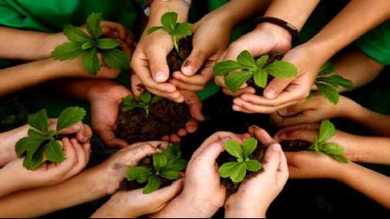 प्रकृति के साथ सामंजस्यपूर्ण जीवन जीने की कला सिखाने शिक्षकों को दी गई प्रकृति शिक्षा