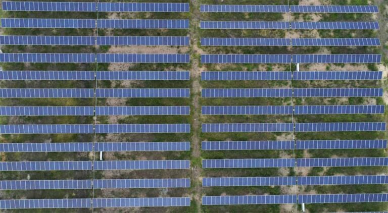 ग्लोबल इन्वेस्टमेंट की तैयारी: सिंगापुर-लंदन में रोड शो करेगी मोहन सरकार, सौर ऊर्जा में आगे बढ़ेगा MP