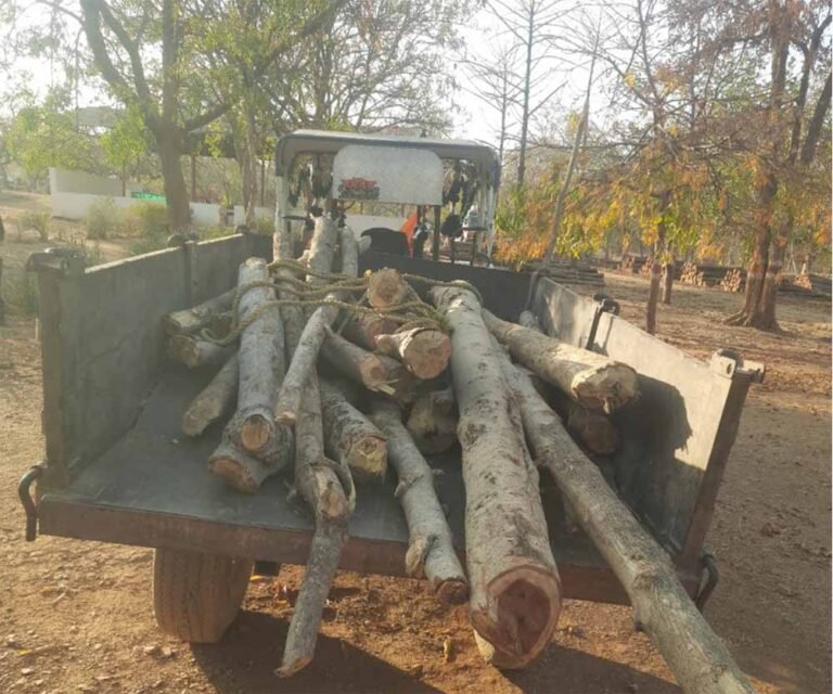 जंगल में तस्करी पर शिकंजा: वन विकास निगम ने पकड़ा अवैध लकड़ी से लदा ट्रैक्टर