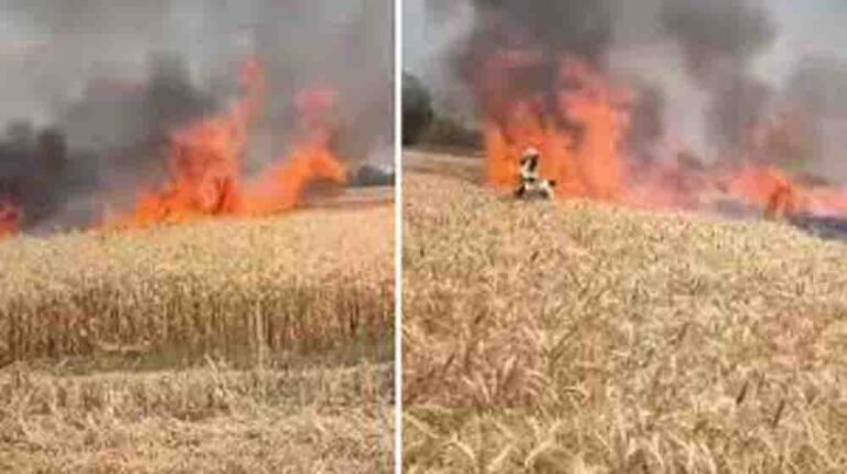 धानापुर के किसानों की मेहनत स्वाहा, अब प्रशासन से उचित मुआवजे की मांग