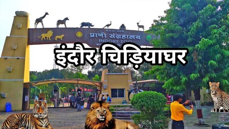 इंदौर चिड़ियाघर में अंडर वॉटर टनल, 35 करोड़ में बनेगा दुबई और सिंगापुर जैसे मॉडल का निर्माण