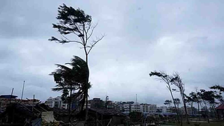 बेमौसम बारिश ने तोड़ी किसानों की कमर, फसलों के नुकसान की सूचना के लिए खुला कंट्रोल रूम और प्रशासन ने शुरू किया सर्वे