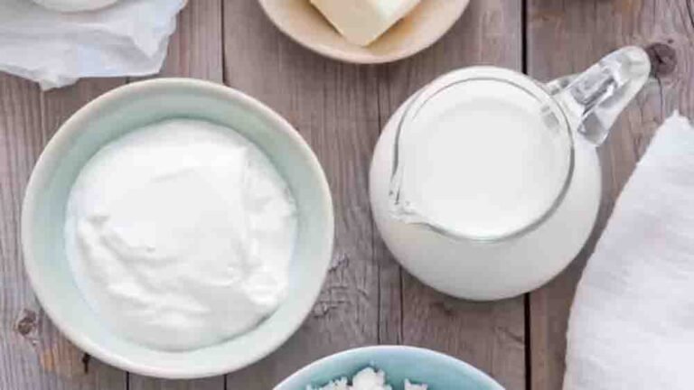 घर पर मलाईदार दही जमाने के आसान टिप्स, जानें एक्सपर्ट ट्रिक्स