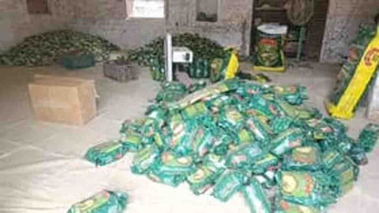 सोजत मेहंदी इंडस्ट्री पर संकट के बादल, एक्सपोर्ट रुकने से 80 फीसदी फैक्ट्रियों में जड़े ताले