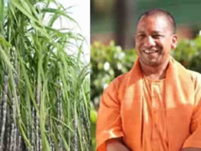 डिजिटल क्रांति, गन्ना विभाग ने लॉन्च किया पोर्टल और बिचौलियों से मिलेगी किसानों को मुक्ति