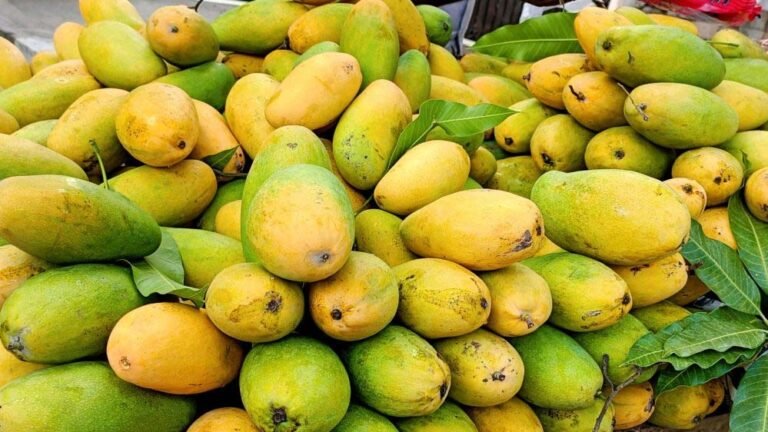 FSSAI ने जारी किए सख्त निर्देश, केमिकल से फल पकाने पर होगी कड़ी कार्रवाई