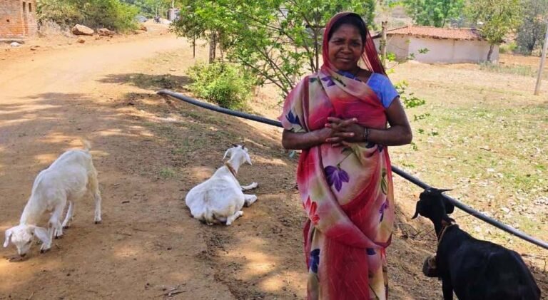 रायपुर:महतारी वंदन योजना से पहाड़ी कोरवा परिवारों की तकदीर बदल रही है