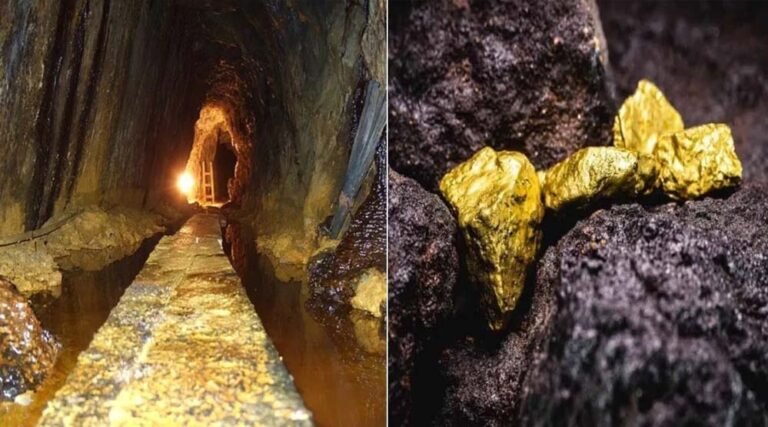 भारत को मिला बड़ा खजाना, तेल संकट के बीच 42.5 टन सोने का भंडार और डॉलर की बारिश का अनुमान