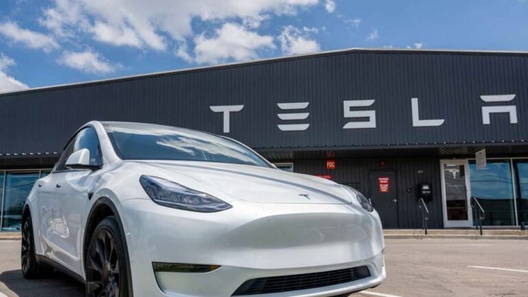 टेस्ला की भारत में असफलता: 10% टारगेट भी पूरा नहीं हुआ, क्या 6-सीटर से बदल पाएगा हालात?