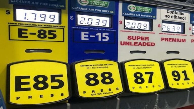 E85 पेट्रोल से बदलेंगे फ्यूल नियम, पेट्रोल में 85% एथेनॉल, सरकार ने जारी किया ड्राफ्ट नोटिफिकेशन