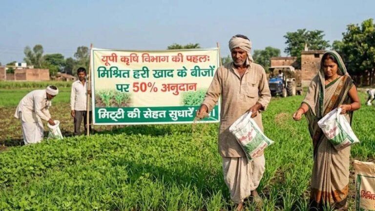 हरी खाद से खेती में बढ़ेगा उत्पादन, मिट्टी की सेहत में सुधार की उम्मीद