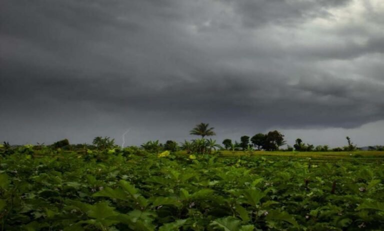 मध्यप्रदेश में ओले और आंधी-बारिश का दौर, 30 जिलों में बारिश और निमाड़ में ओले गिरने का अलर्ट