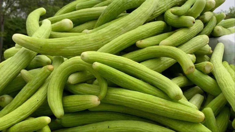 गर्मी में ककड़ी खाने के फायदे, शरीर को रखे ठंडा और हाइड्रेटेड