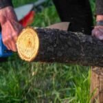 वास्तु शास्त्र: पेड़ों को काटते समय भूलकर भी न करें ये गलतियां, वरना घर में बढ़ सकता है वास्तु दोष