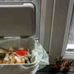 वास्तु टिप्स,गलत दिशा में रखा कूड़ेदान बन सकता है कंगाली का कारण, जानें डस्टबिन रखने के सही नियम