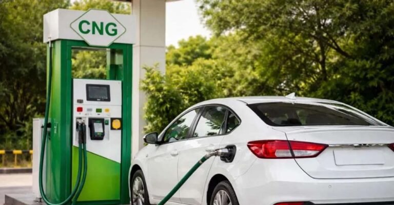 पेट्रोल-डीजल की जगह इस फ्यूल पर आ रहे हैं लोग, अब देश में हर चौथी कार इस पर दौड़ रही है