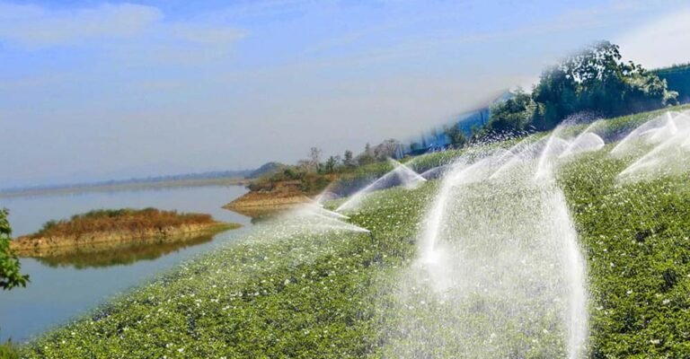 राज्य के सिंचाई जलाशयों में 67% से अधिक जल भराव, पिछले दो सालों से बेहतर जल उपलब्धता