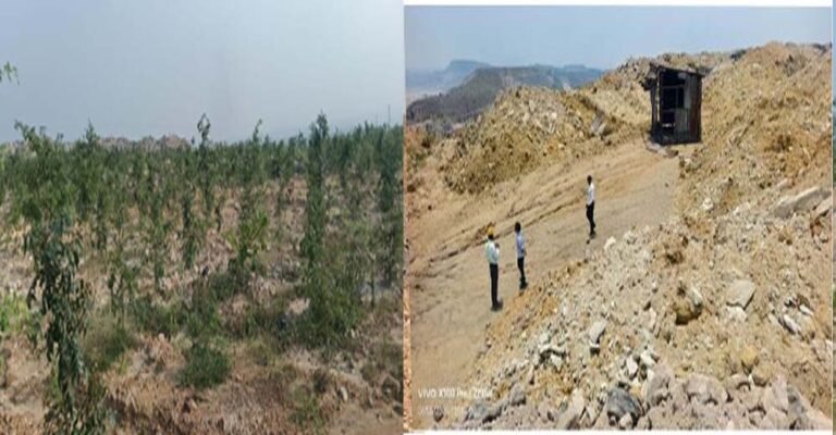 रायपुर: बंजर डंप क्षेत्र से हरा-भरा जंगल बनाने की दिशा में गेवरा की अनूठी पहल