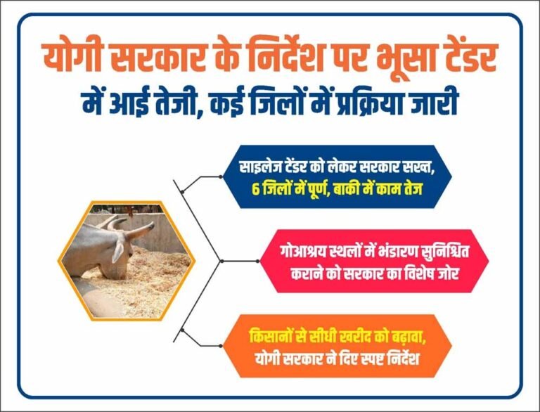 साइलेज टेंडर को लेकर सरकार सख्त, 6 जिलों में पूर्ण, बाकी में काम तेज