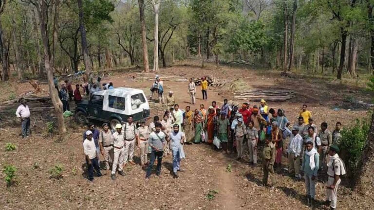 Udanti Sitanadi Tiger Reserve में घुसपैठ पर सख्ती, 22 आरोपी दबोचे गए