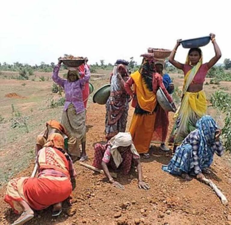 छत्तीसगढ़ ने बनाया रिकॉर्ड: मनरेगा श्रमिकों की 97.11% ई-केवाईसी पूरी, देश में अव्वल