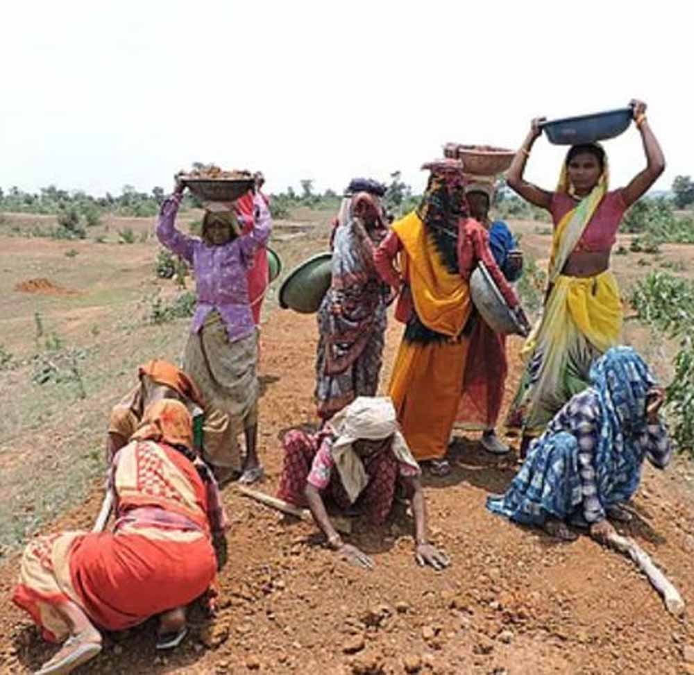 छत्तीसगढ़ ने बनाया रिकॉर्ड: मनरेगा श्रमिकों की 97.11% ई-केवाईसी पूरी, देश में अव्वल