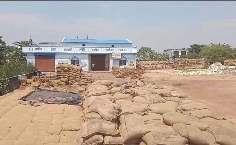 मुंगेली में बड़ा घोटाला: धान स्टॉक जांच में 2.54 करोड़ की अनियमितता, केंद्र प्रभारी के खिलाफ केस