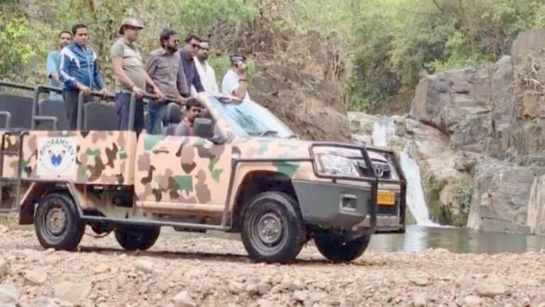 एडवेंचर का नया ठिकाना Kawardha: जंगल सफारी में 35 किमी सफर, 22 बार नदी क्रॉसिंग