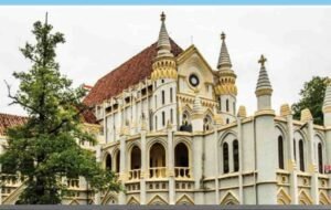 हाईकोर्ट का कड़ा रुख: दिव्यांग बच्चों को स्कूल से निकालने पर चीफ जस्टिस ने DEO से रिपोर्ट मांगी