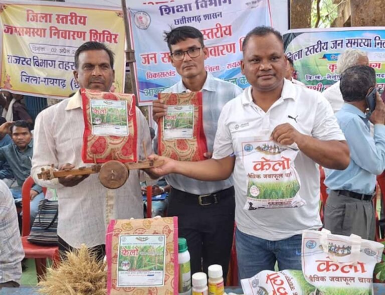 देशभर में बढ़ रही मांग, बेंगलुरु से कारगिल तक पहुंच रहा सुगंधित चावल