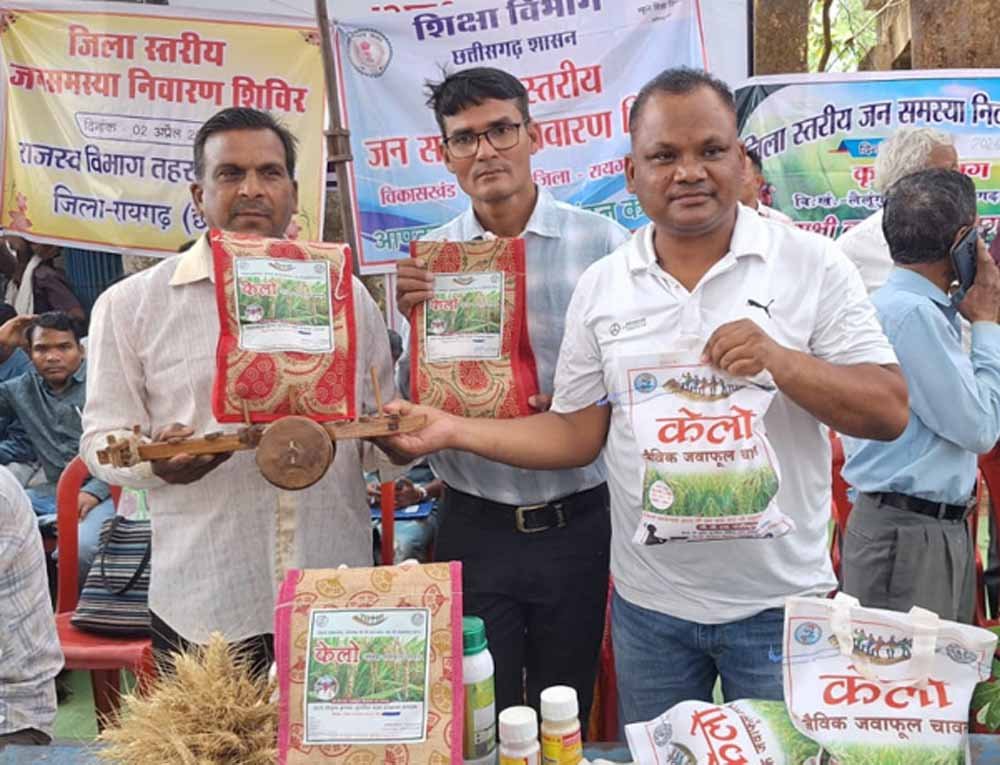 देशभर में बढ़ रही मांग, बेंगलुरु से कारगिल तक पहुंच रहा सुगंधित चावल