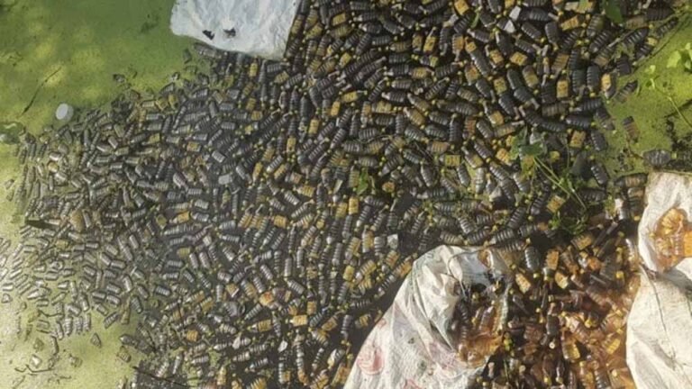 शराब की बोतलों ने मुरैना के नाले को घेर लिया, लोगों में मचा हड़कंप