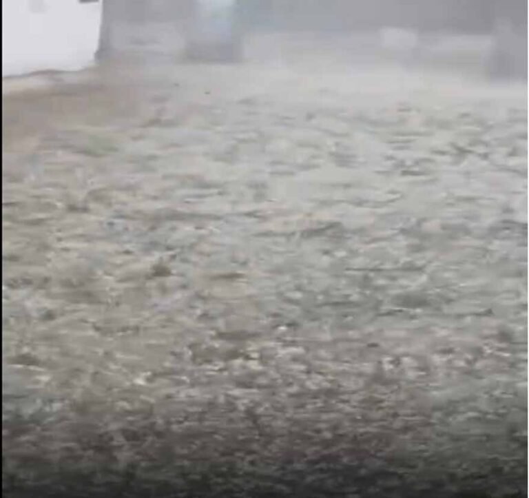 दोपहर बाद बदला मिजाज: ग्वालियर में ओलावृष्टि का कहर, बाइक-कारों के शीशे चकनाचूर