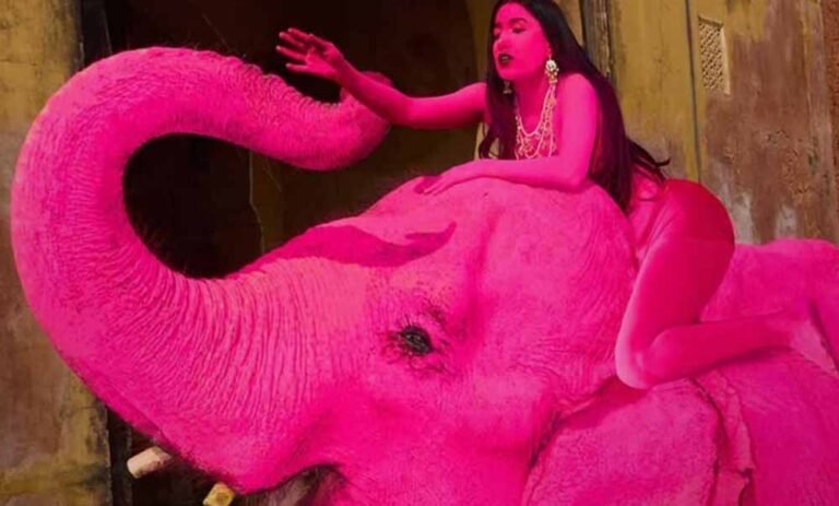 Pink Elephant शूट बना विवाद: जयपुर में रूसी फोटोग्राफर पर फूटा लोगों का गुस्सा