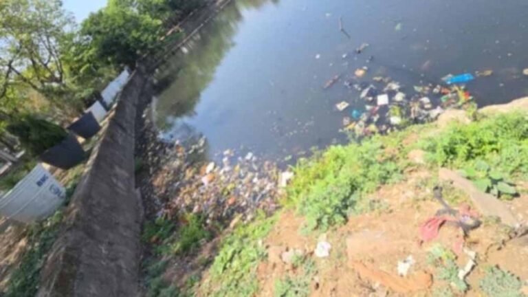 छोटे तालाब का अस्तित्व खतरे में, NGT सख्त—कई विभागों से मांगा जवाब