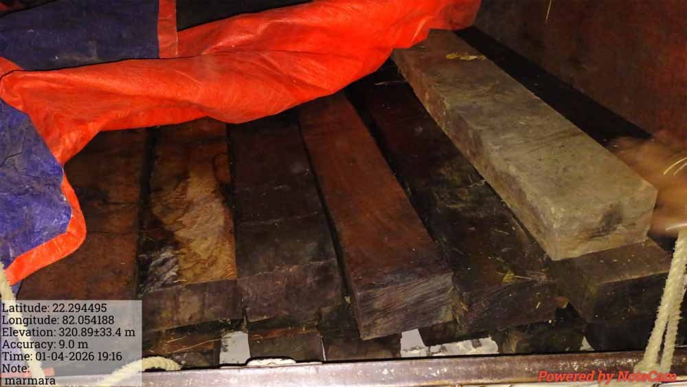 वन विभाग की बड़ी कार्रवाई, लकड़ी से भरा पिकअप वाहन पकड़ा गया