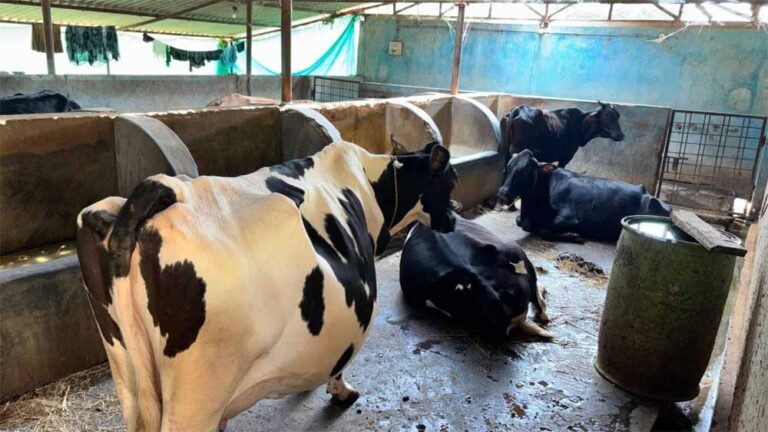 मजदूरी की बेड़ियों को तोड़ ‘‘मल्टी-फार्मिंग‘‘ के नायक बने ललित यादव