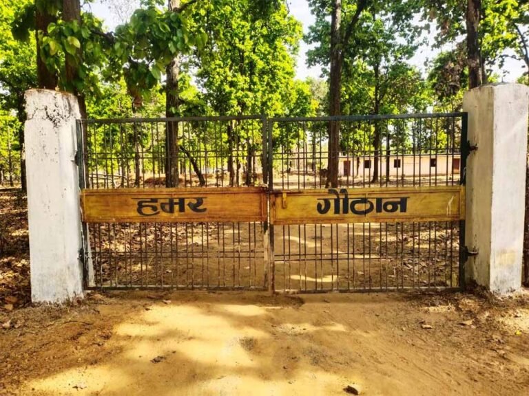 धोवाताल की 60 महिलाओं ने रची आत्मनिर्भरता की मिसाल