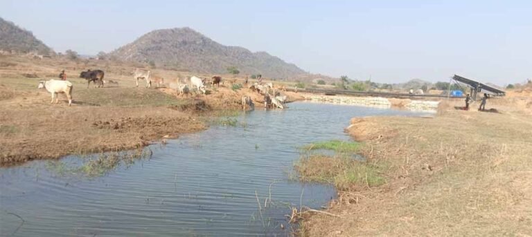 मनरेगा से पनारी नाले का जीर्णोद्धार: 1200 ग्रामीणों को पेयजल व सिंचाई का लाभ