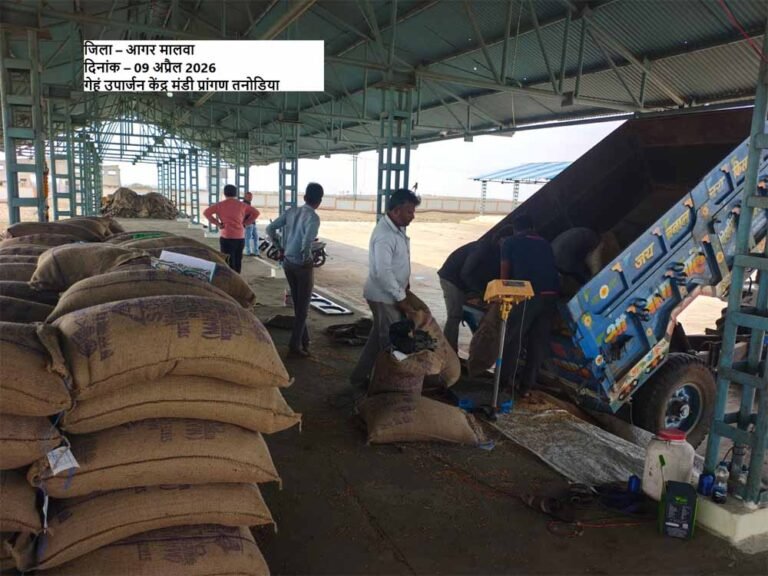 समर्थन मूल्य पर पहले दिन हुई 1616 क्विंटल गेहूँ की खरीदी : खाद्य मंत्री राजपूत