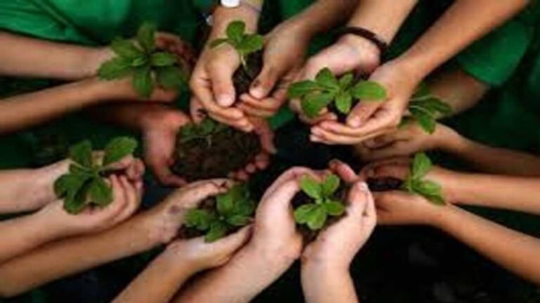 25 लाख पौधों से शहर को बनाएंगे हरा-भरा, सिंहस्थ की तैयारी में 2 साल में पूरा होगा लक्ष्य