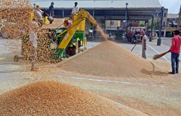 मुख्यमंत्री ने गेहूं खरीद में किसानों को दी महत्वपूर्ण राहत
