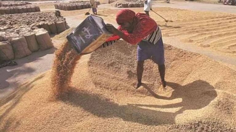 ग्वालियर में 14 हजार से ज्यादा किसान बेचेंगे गेहूं, मिलेगा सरकारी समर्थन मूल्य