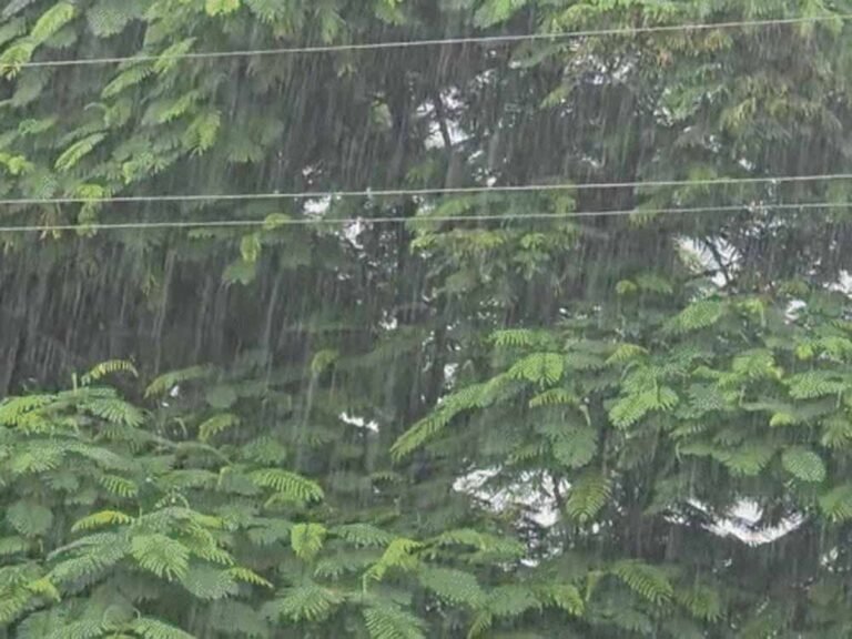 यूपी वेदर अपडेट: राजधानी समेत कई जिलों में तूफान और बिजली गिरने का खतरा